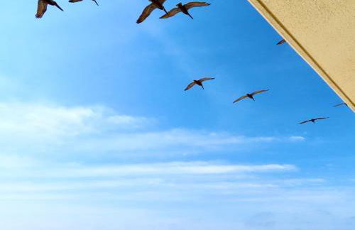 Just Updated - Beachfront Ocean view, 19th Floor - Foto 29