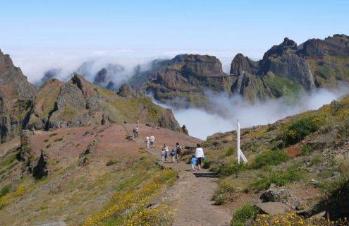 Charming Apartments in Funchal - São Gonçalo - Foto 25