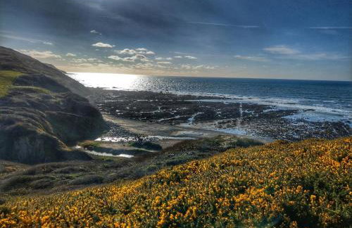 Silver Crooks - Foto 38