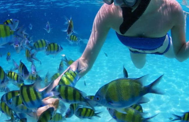 Garden Condos - Foto 19