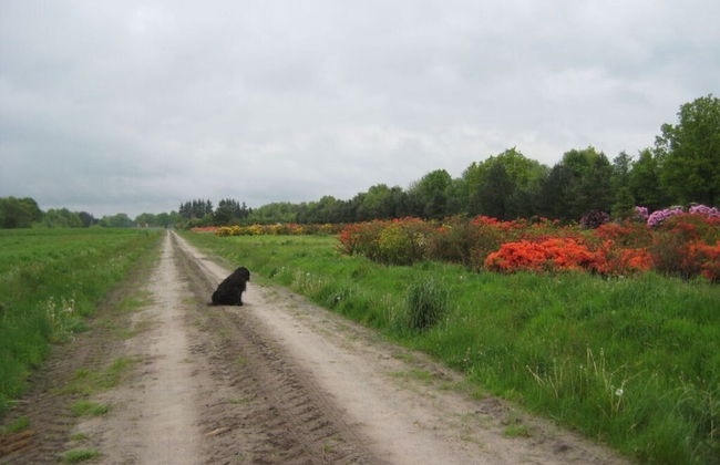 Dollhouse Modern Retreat - Foto 19