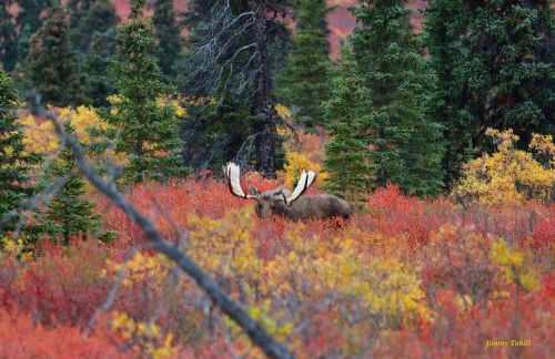 2 King Bedrooms each with full bath, Amazing Views! - Foto 22