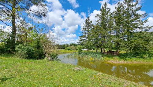 Le Bonheur est dans le Pré. - Foto 5