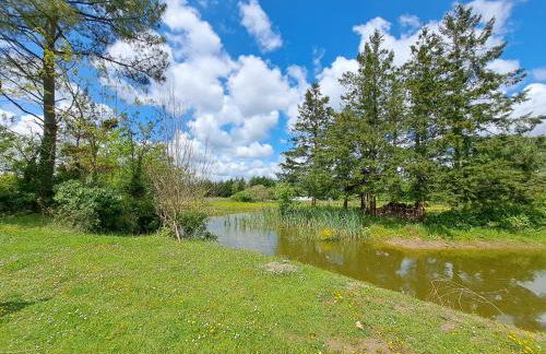 Le Bonheur est dans le Pré. - Foto 5
