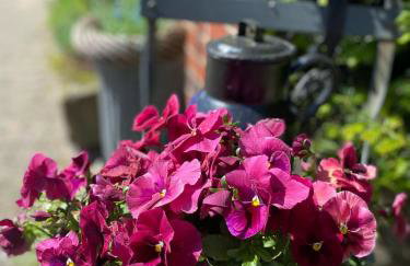 Ferienwohnung an der Berkelquelle - Foto 23