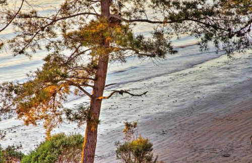 Walk to Keller Beach Waterfront Studio with Hot Tub - Foto 28