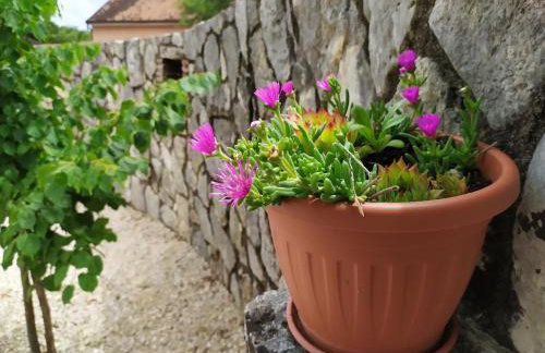 Mama Residence - Photo 37