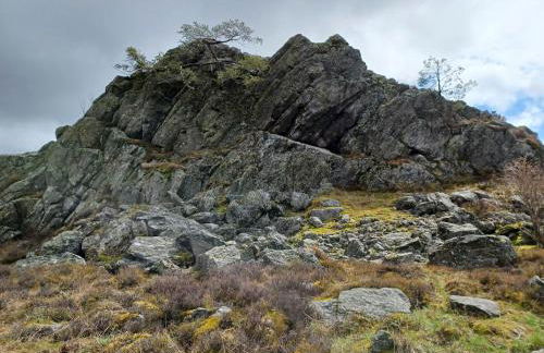 Ferienhaus in der Nähe der Skipiste - Foto 39
