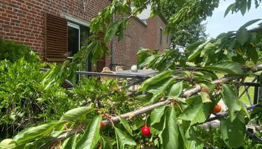 Gîtes du Grand Bois - Foto 3