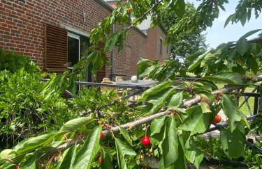 Gîtes du Grand Bois - Foto 3