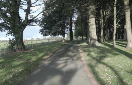 Tal Gwynedd - Foto 42