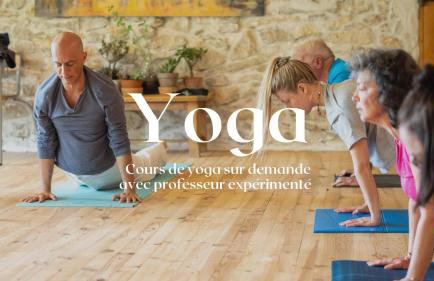 Domaine - Vignoble - Jacuzzi - Sauna - 14 à 18 pers - Foto 80