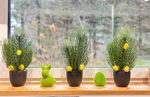 Dom Dwa Jeziora - Augustów - Photo 24