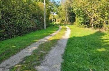 Silver Birch Nabb Lane Woods Hot tub near Alton Towers - Foto 19