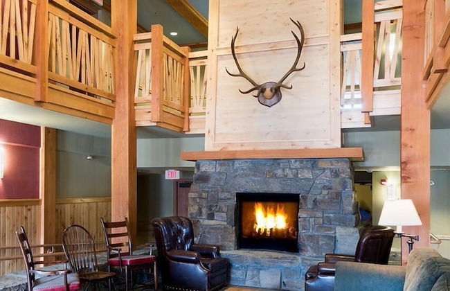 Morning Eagle - Photo 2