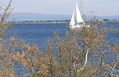 Casa da Ria 78 - Family House - Foto 36