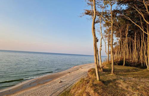 Dębina - Poddąbie - Rowy - Foto 26