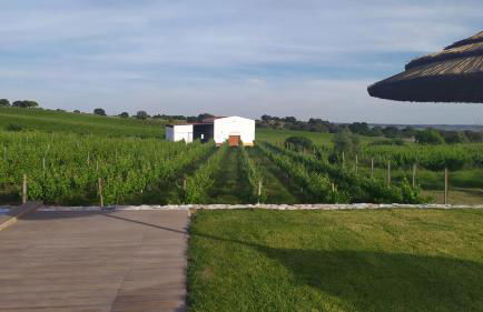 Turismo Rural Pedremoura - Foto 41