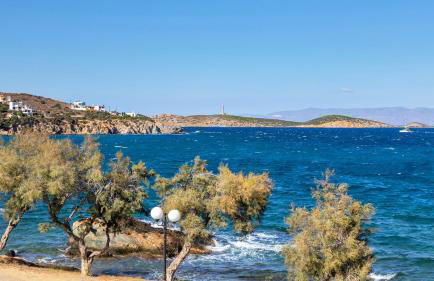 Vivianna's View - Foto 69