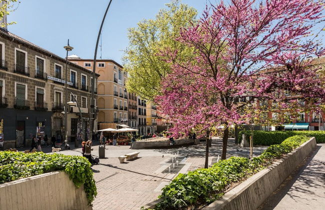 Cozy Urban Apt. Historic District - Sol - Photo 26