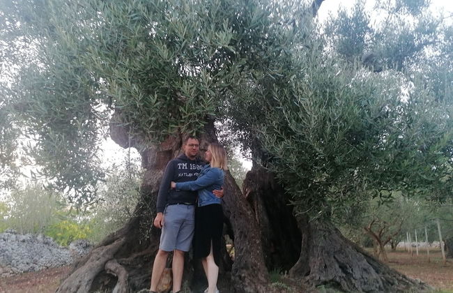 Agriturismo Salinola - Foto 53