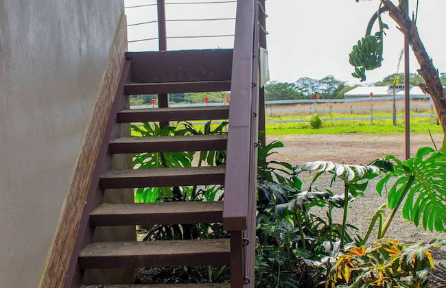 Almore Hotel - Foto 26