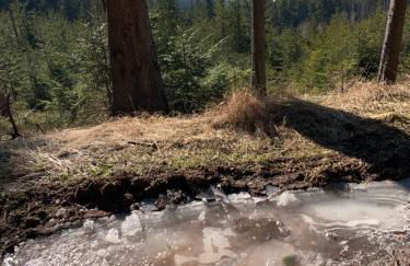 Schwarzwald-Blick Lenzkirch-Saig - Photo 20