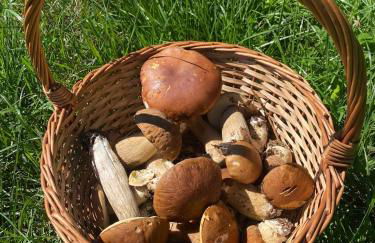 Casa de Piedra Vistas & Relax - Foto 21