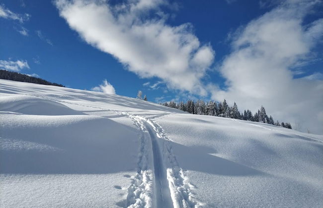 Mascherhof - Foto 47