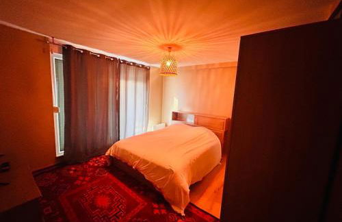 Au Bord du Logelbach - Foto 13