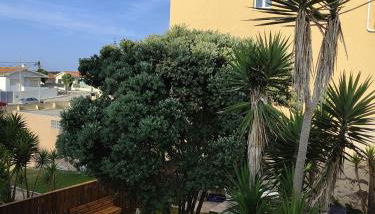 Casa Amarela - Foto 4, Garden, Garden view