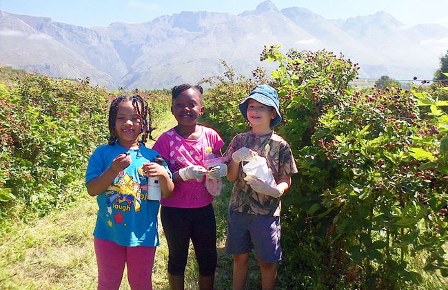 Wildebraam Berry Estate - Foto 22