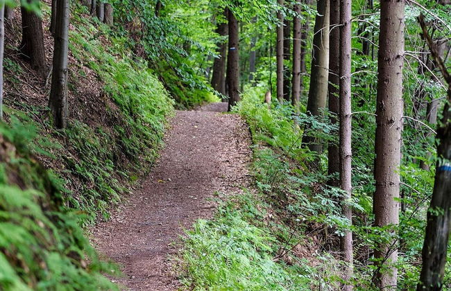 Holiday Home in Brastad - Foto 5