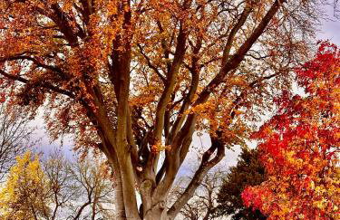 Octon Cottages Luxury 1 and 2 Bedroom cottages 1 mile from Taunton centre - Foto 20