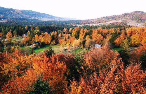 Chata Piechówka - gorąca balia i widok na góry - Foto 37