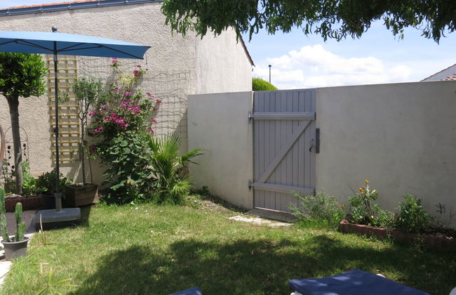 Roses Tremières - Foto 15