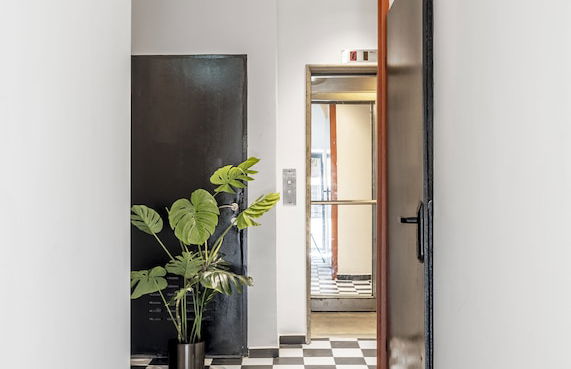 Mr. Montana - By TLV2GO - Foto 64