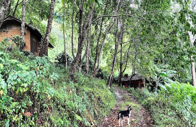 Doi Pumuen Lahu Homestay - Foto 26