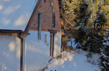 Świerkowe Ranczo Raciszewo - Foto 50