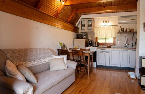 Villa Planica Holiday Home - Foto 21