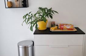 F2 Aleks - a 10 min de CDG aéroport - a 30 min de Paris - a 10 min du salon d'expo Villepinte - Foto 13