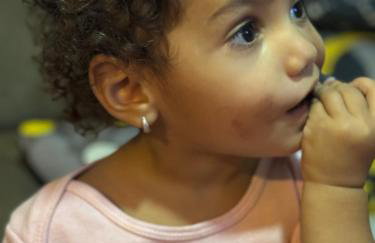 Flamboyant - Foto 22