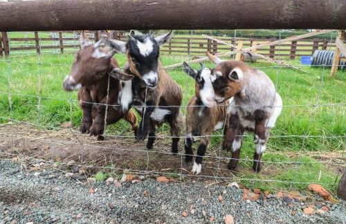 The Pod at Bank House Farm - Photo 13