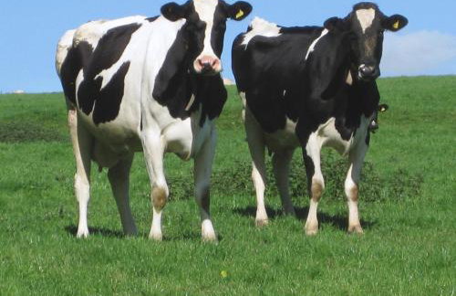 Haye Barton Farm - Foto 18