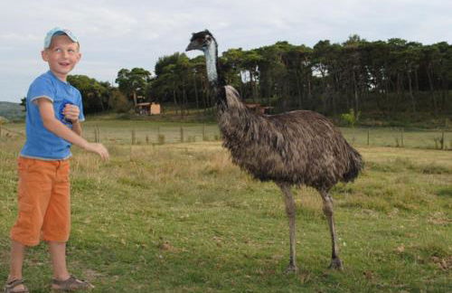 Domaine du Bas Chalus - Foto 21