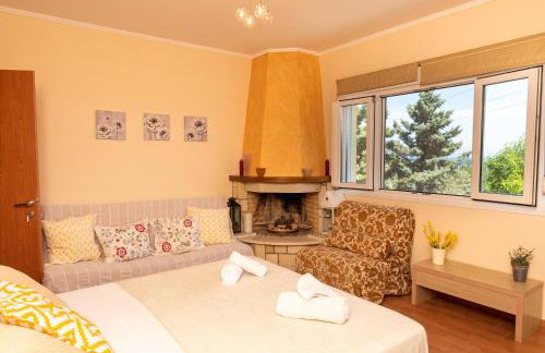 Argo Studios - Foto 18