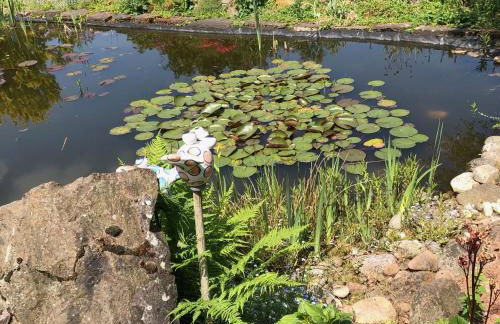 Ferienwohnung Maurer - Foto 18