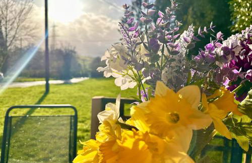 THREE BEDROOM Rural, relaxing and peaceful,DOGS welcome! With Cymru Holidays - Foto 6