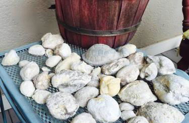 Cottage with Hot Tub and Pool Bandera, TX. - Foto 27