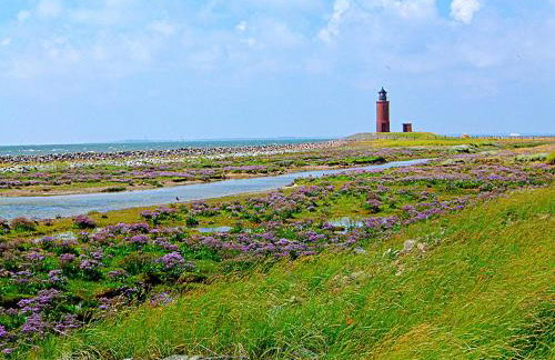 Gästehaus Bi de Ley - Foto 14